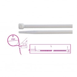 1748-bv2.jpg