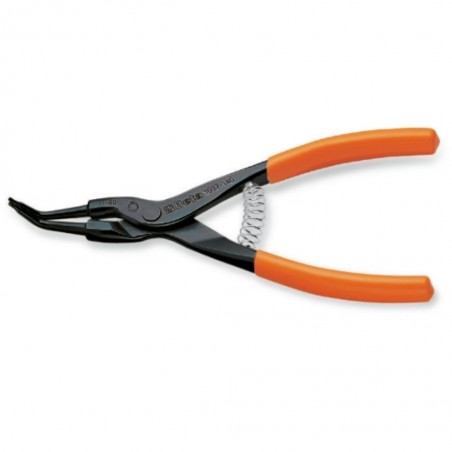 1037.jpg