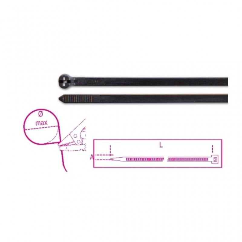 1748-nl.jpg